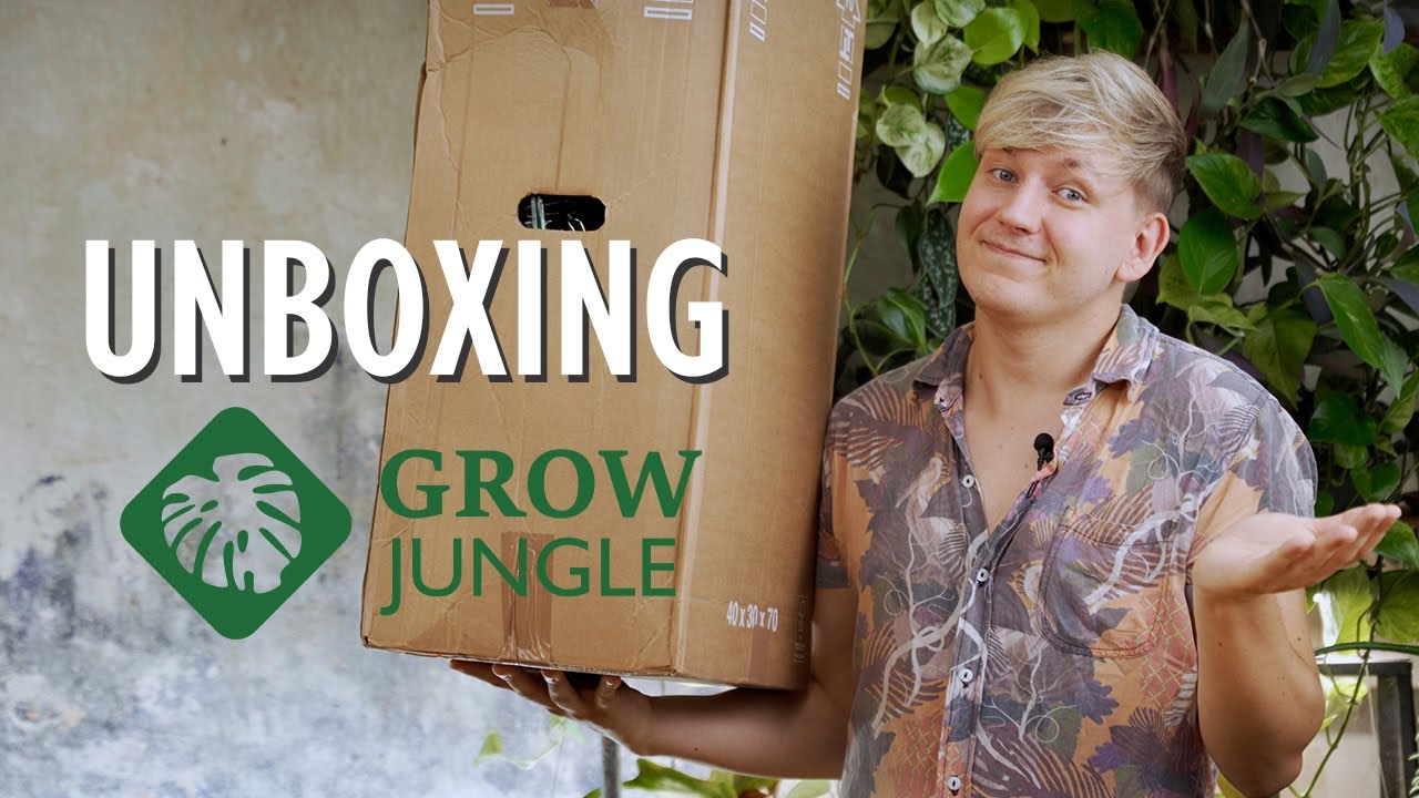 Spinnmilbenalarm ⚠️ Das hätte ich beim GrowJungle Unboxing NIE erwartet! | Plant Haul