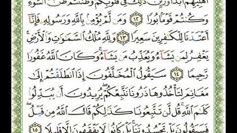 048   سورة الفتح   شيرزاد عبد الرحمن طاهر