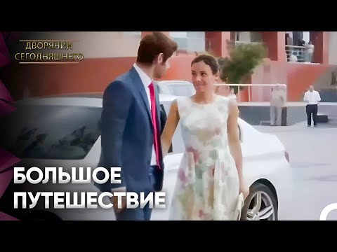 Шаг За Шагом К Браку | Дворянин Сегодняшнего