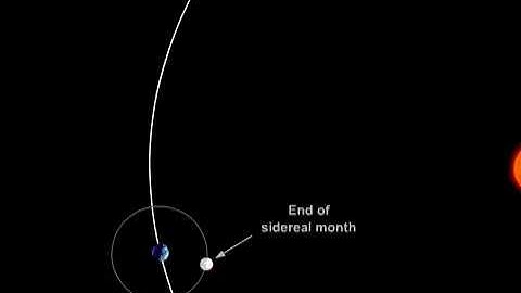 The Sidereal and Synodic Months