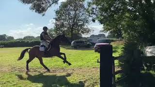 Ad ref 242043 Video 1