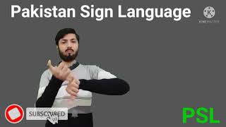 Vocabulary Pakistan Sign Language Episodes 110 screenshot 4