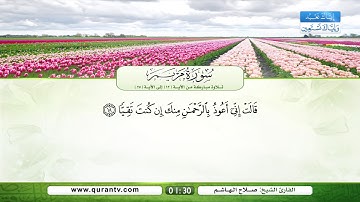 سورة مريم | تلاوة مباركة من الآية 12 إلى الآية 25 | بصوت القارئ الشيخ صلاح الهاشم