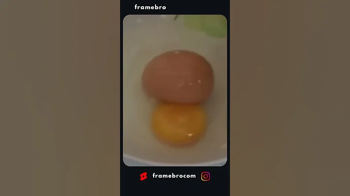 Fearless Ants Construct Ingenious Bridge to Conquer Wasp Nest