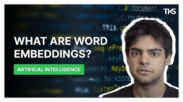 What Are Word Embeddings? | Aadil Ali
