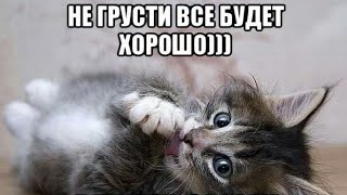 НЕ ГРУСТИ!!!ВСЕ БУДЕТ ХОРОШО!!!Доброе пожелание для друзей!