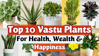 Top 10 Lucky Plants for Home | Vastu Plants | Best Indoor Plants | Lucky Plants for Home