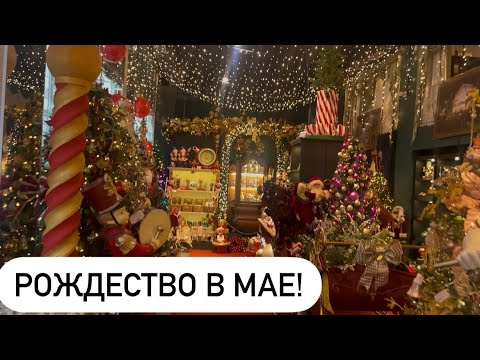 Ричика обидели. Выскочили оттуда как пробка!