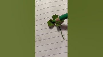 5 leaf clover! (Top secret) 🤫