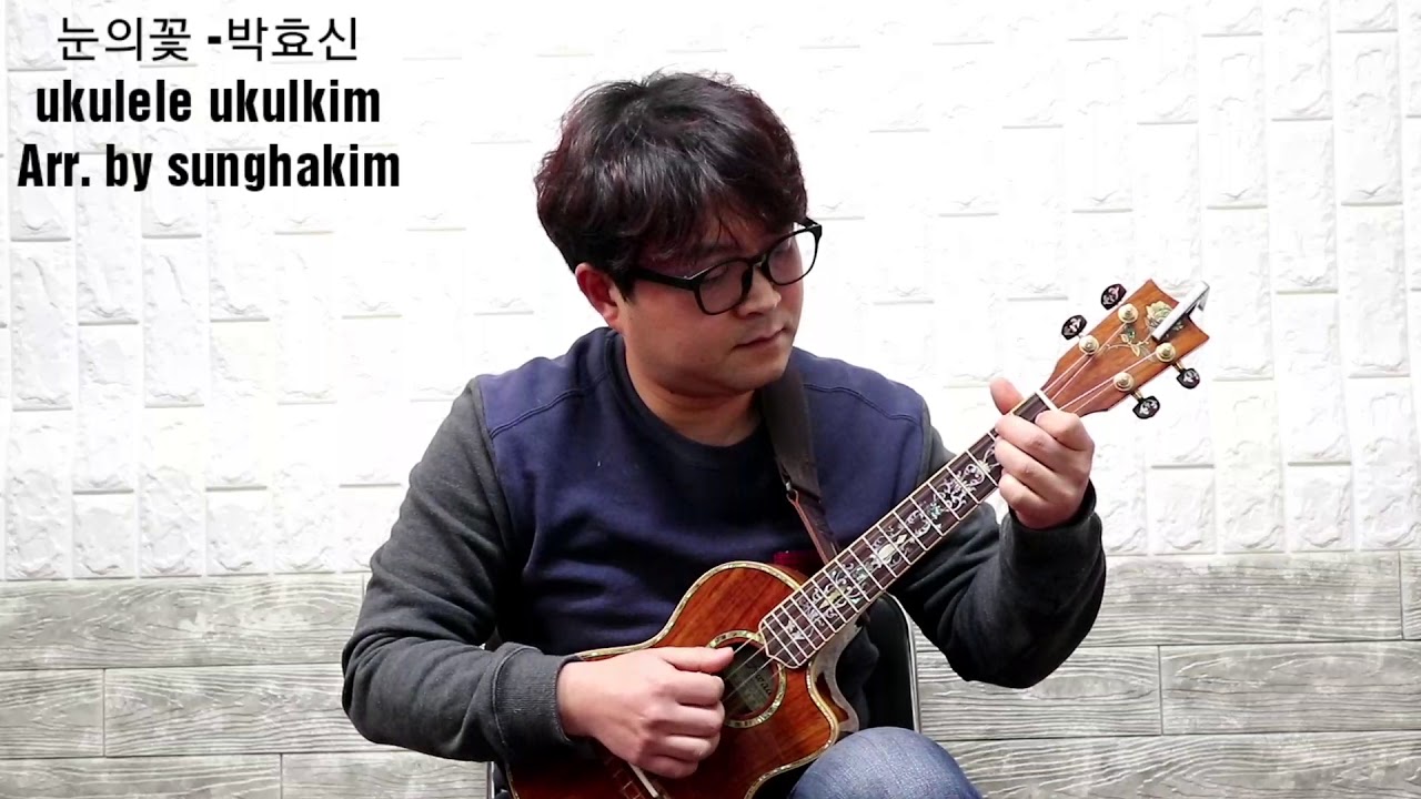 Snow Flower (눈의꽃) 박효신 ukulele cover by Sungha Kim YouTube