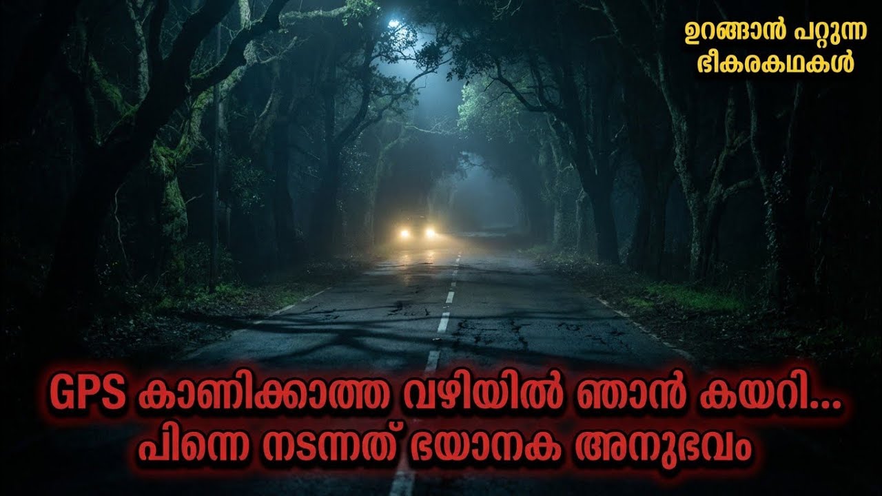 GPS കാണിക്കാത്ത വഴിയിൽ ഞാൻ കയറി… പിന്നെ നടന്നത് | GPS Wrong Turn Horror Story