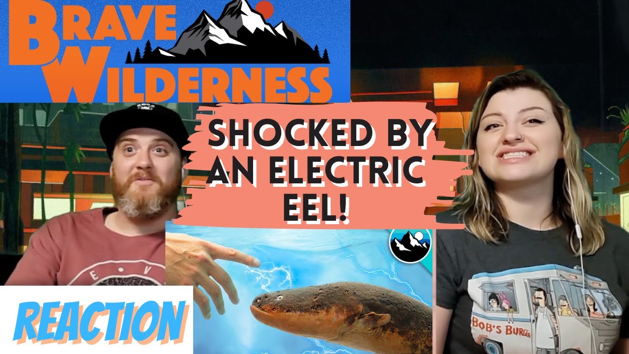 "Shocked by an Electric Eel!" 
