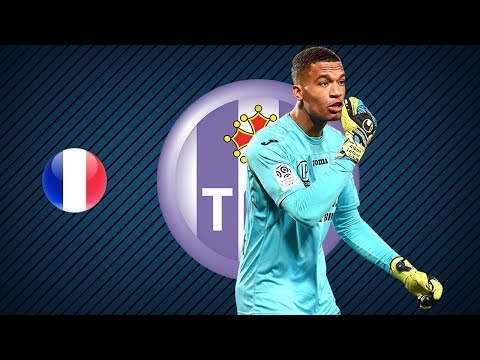 ALBAN LAFONT | Toulouse | Best Saves | 2017/2018 (HD)