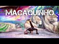 8 STEPS TO ACHIEVE MACAQUINHO ( CAPOEIRA - CALISTHENICS) Not beginners
