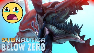 Trying to Scan the Chelicerate Leviathan Because of Reasons