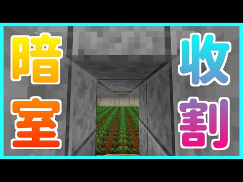 Fond | Darkroom Harvesting | Minecraft 1.15.2