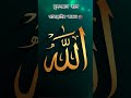আল্লাহ তুমি সবাইকে মাফ করে দাও🕋🥺 #islamicvideo #shortvideo #viral #shorts