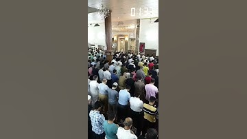 محمد شوكت أبو بسمله- ما تيسر من سورة الزمر - رمضان 2020