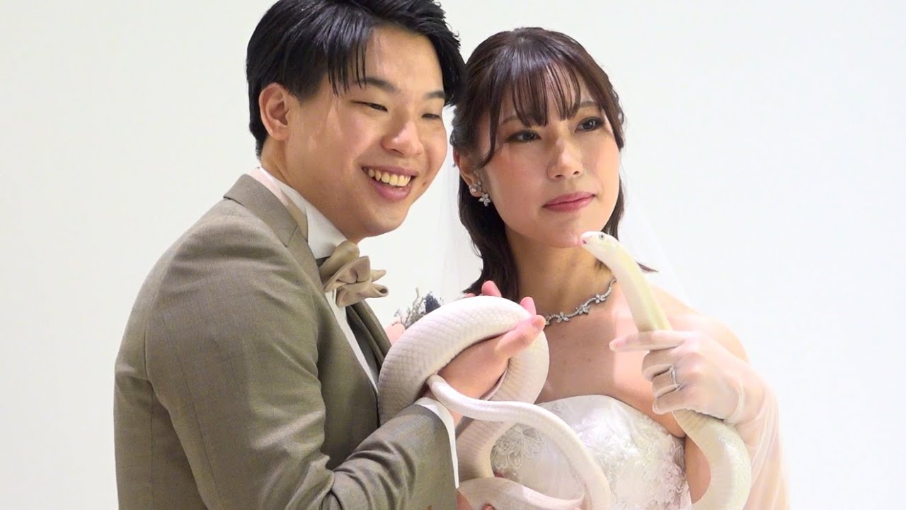 ヘビのように真っすぐ進みたい - YouTube