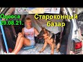 Староконный рынок 29.08.21. Одесса. Здесь продаются щенки разных пород собак.