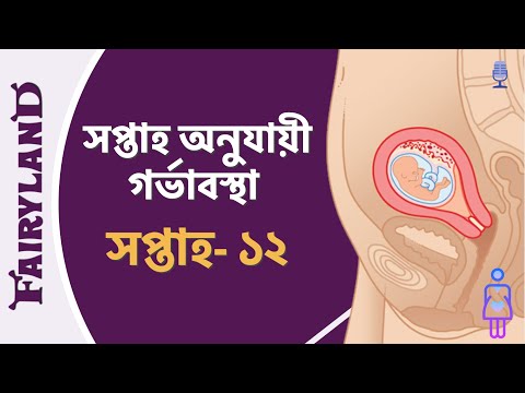 ভিডিও: 12 সপ্তাহের গর্ভকালীন সময়ে ওজন কী হয়