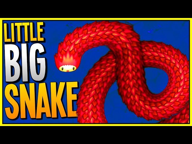 Snake game, Want to try out a retro game?😎 Play Snake and let nostalgia  take over. Take the challenge of eating all the blue eggs.😃 Are you ready?  Go for it.✌