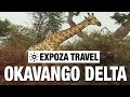 Okavango Delta (Botswana) Vacation Travel Video Guide