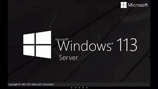 Windows 113 Server