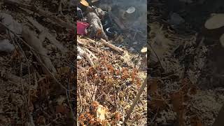 20231102 1020 Garbage Pod Leaves Contractors? Hali Willfully Neglect Gutters Drains Clogged Crtc