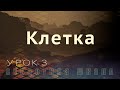 Субботняя школа | В горниле испытаний - со Христом | 3 урок: Клетка