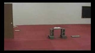 TONY's BRICK BREAKING