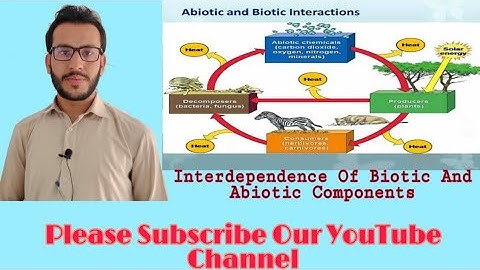 Science Class6th. independence of Biotic and Abiotic Components
