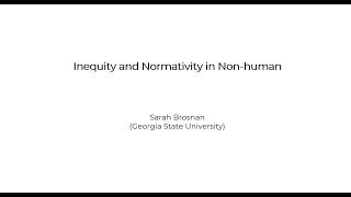 Sarah Brosnan, Inequity and Normativity in Non human Primates   Realizzato con Clipchamp