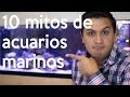 10 mitos del hobby de los acuarios marinos