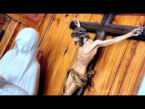12 de Julio. Hora de la Misericordia EN VIVO
