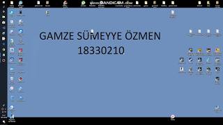 Sayısal Loto Ödevi