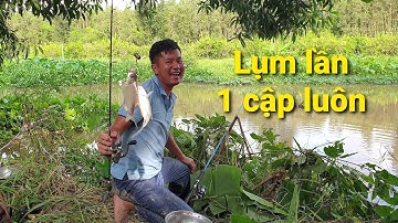 Câu cá chổ này phê lấm, trùm lăng xê dính luôn 1 cập | Săn bắt SÓC TRĂNG |
