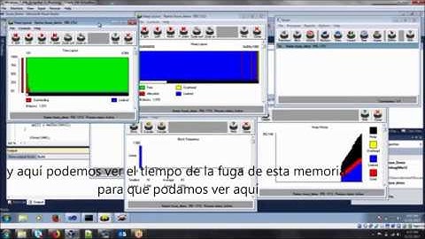 Parasoft Insure++ Inuse Dynamic Memory Visualization