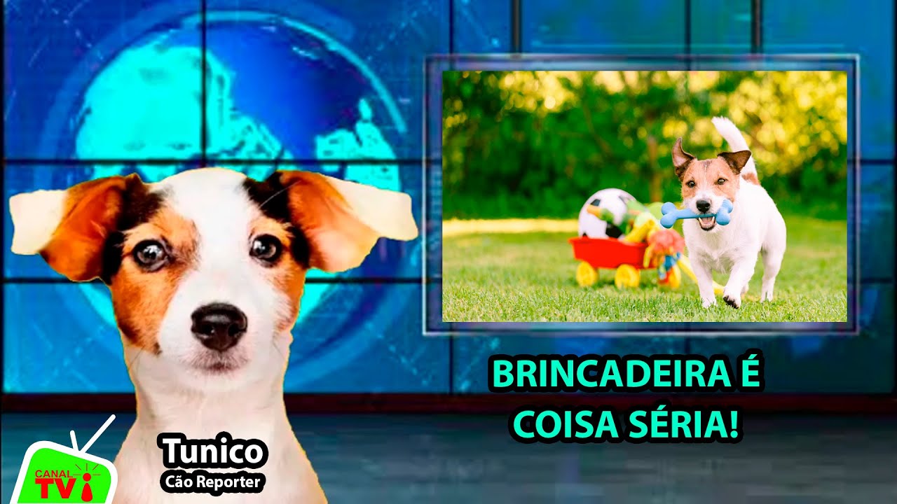 CANAL TVI - Tunico Repórter - Brincadeira é coisa séria