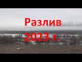 Разлив 2023 года !