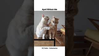 Httpsyoutubecomshortshuvjgorxrussifx3h9fm2zijtbtni