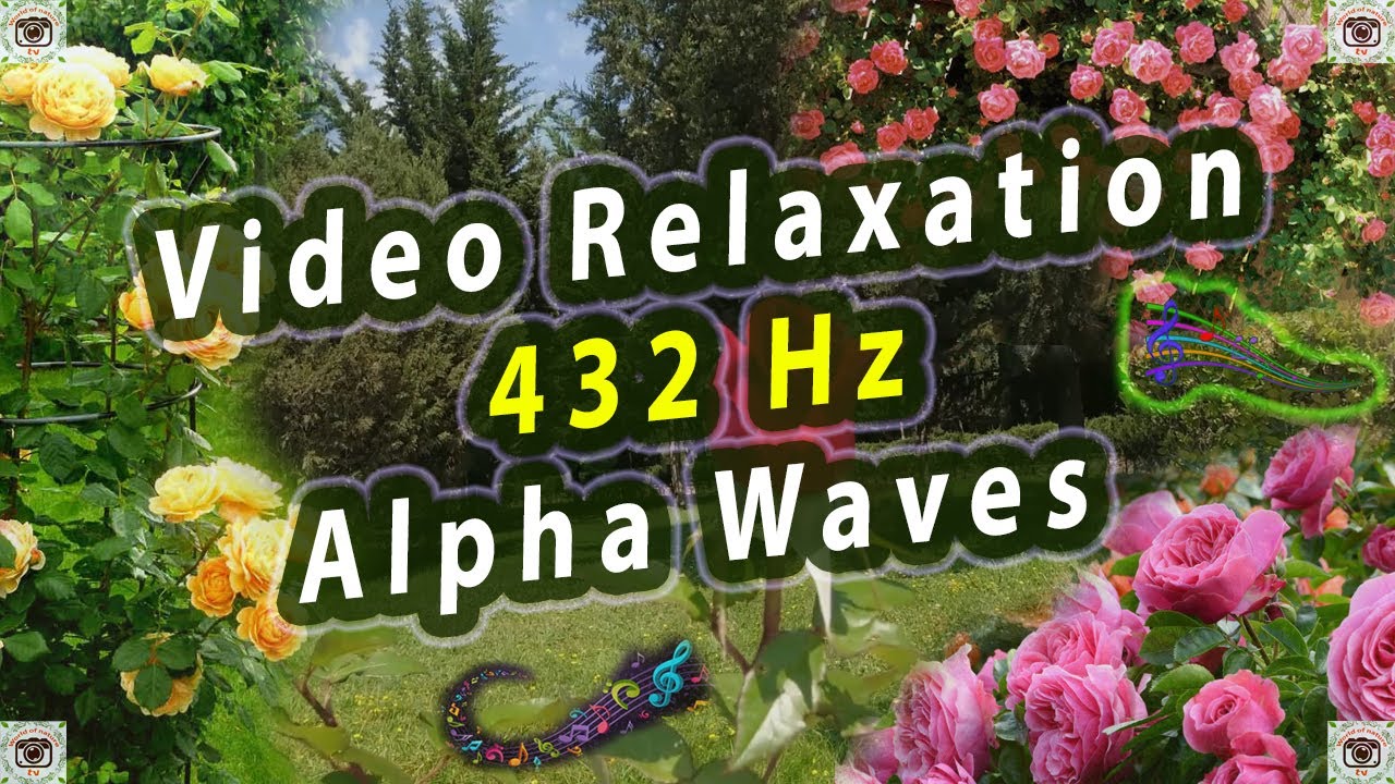 432 Hz- Alpha Waves Heal the whole Body and Spirit. Physical and ...