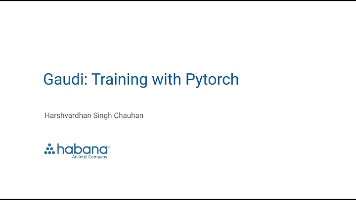 Gaudi: Training mit PyTorch