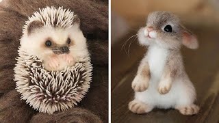 Funny Animals Compilation - Cutest Animals Ever 2020 by FunnyVines 8,927 views 3 years ago 13 minutes, 45 seconds