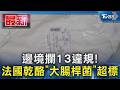 邊境攔13違規! 法國乾酪｢大腸桿菌｣超標｜TVBS新聞 @TVBSNEWS01