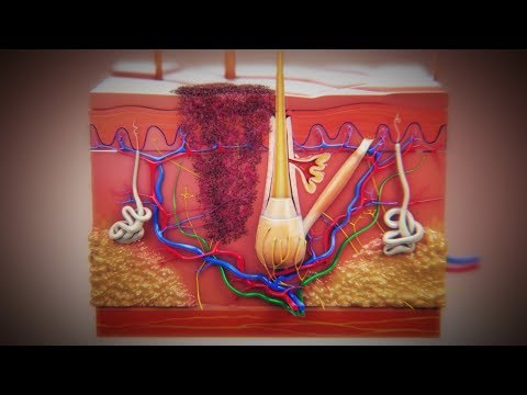 Video: Peran Inhibitor Tirosin Kinase HGF / C-MET Dalam Melanoma Metastasis