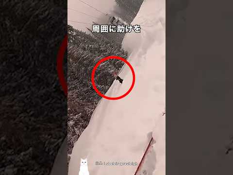 スキー中に遭遇した最悪の現実