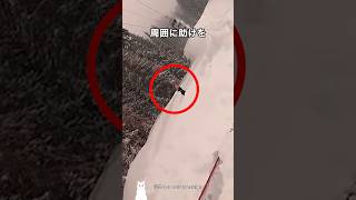 スキー中に遭遇した最悪の現実