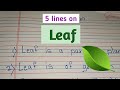 5 7 lines on leaf  essay on leaf in english few sentences about leaf