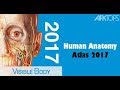 تحميل برنامج human anatomy atlas 2017 للكمبيوتر